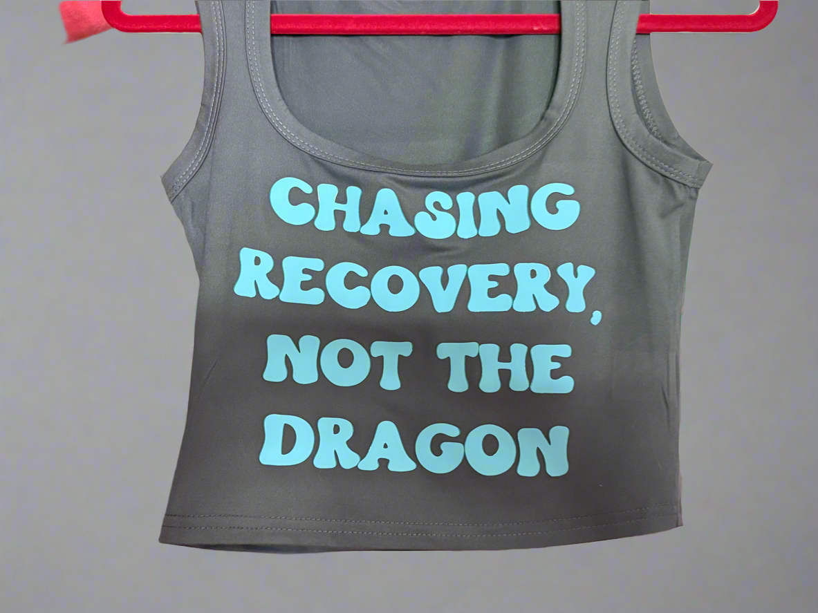 Chasing Recovery Crop Top