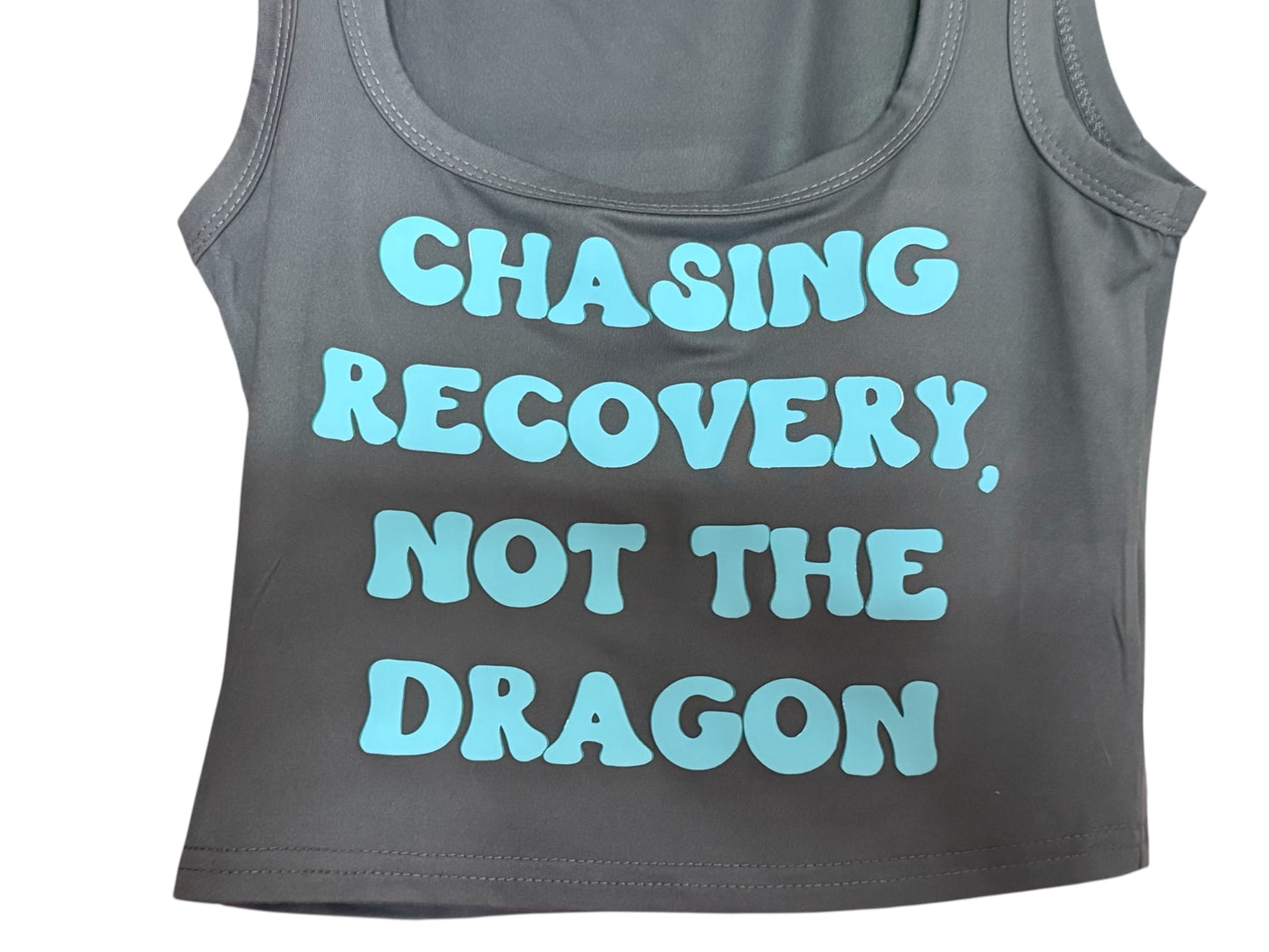 Chasing Recovery Crop Top
